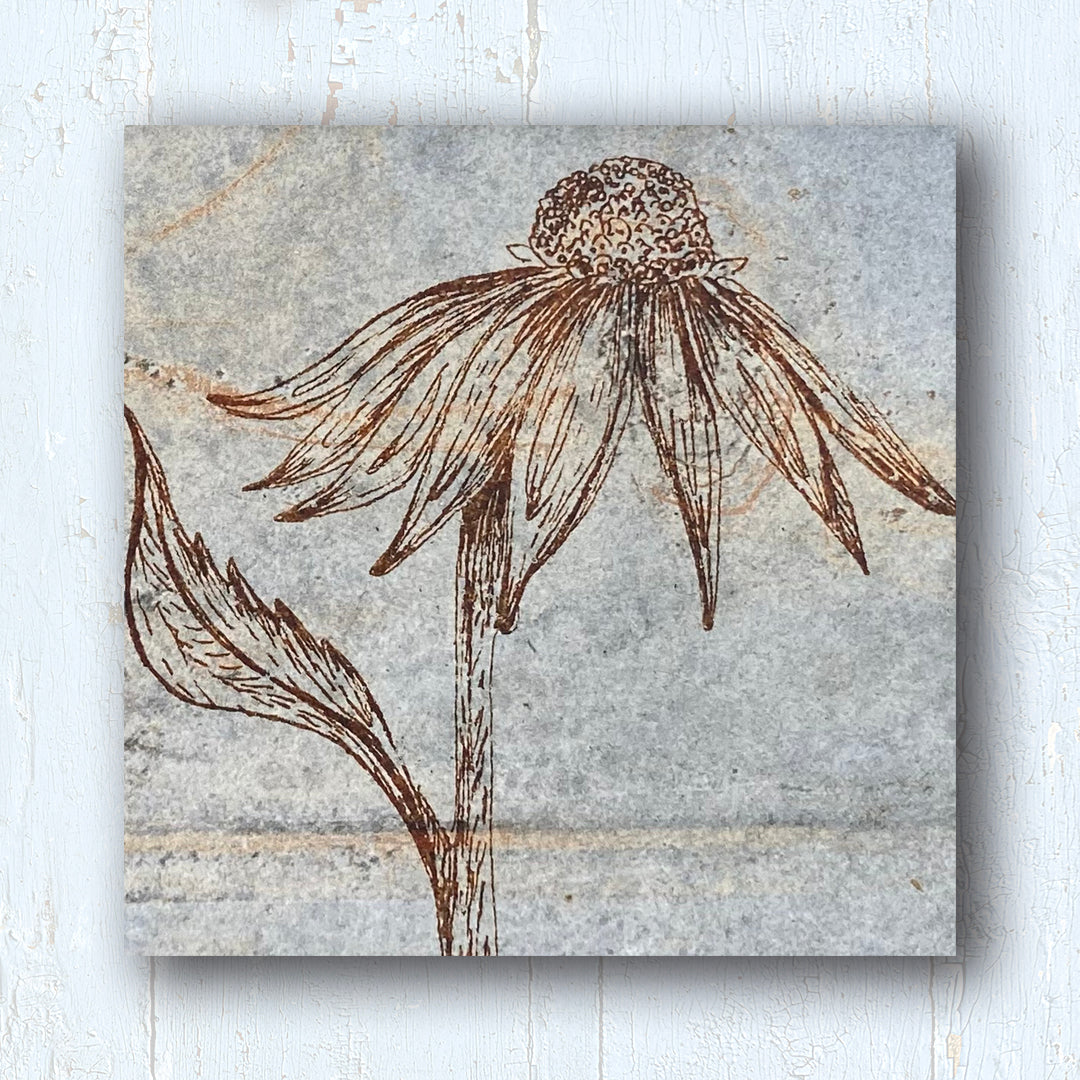Coneflower Art Tile