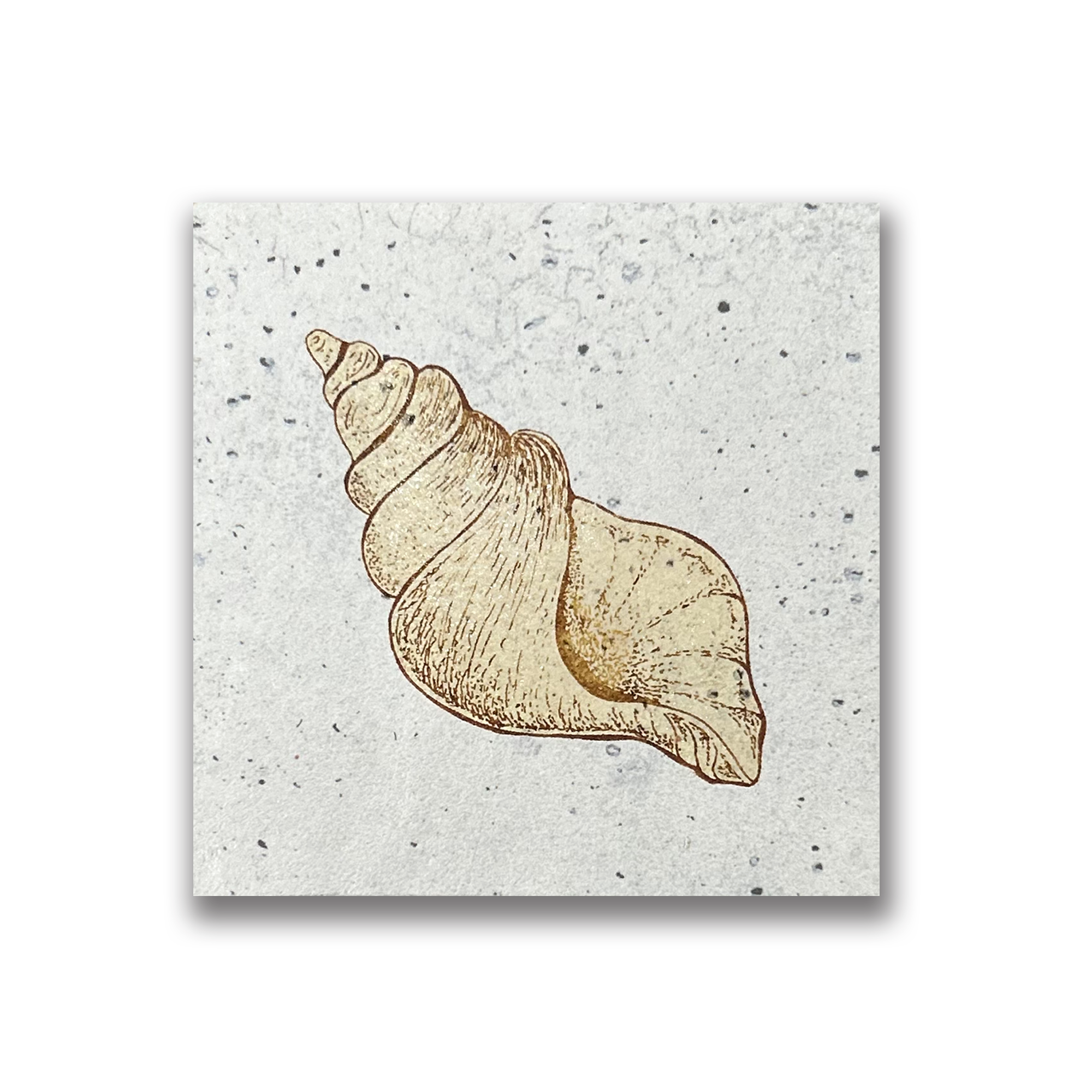 Sea Shell | Art Tile