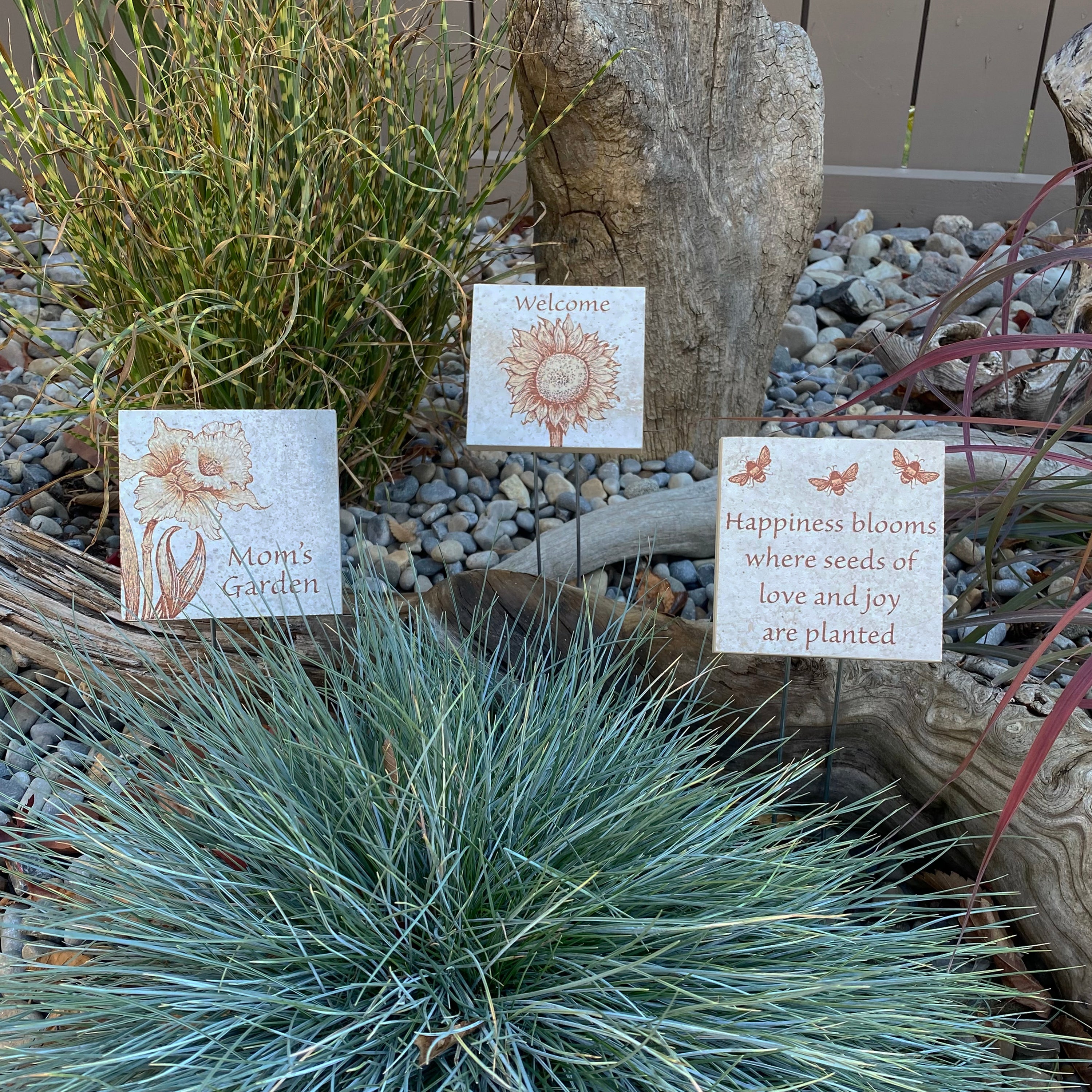 Succulent Personalized